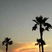 ヒメ日記 2025/09/23 20:02 投稿 えま 和歌山ちゃんこ