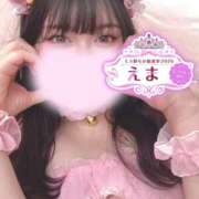 ヒメ日記 2025/11/14 20:51 投稿 えま 和歌山ちゃんこ