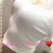 ヒメ日記 2025/04/26 11:39 投稿 まほ 一夜妻