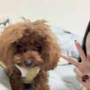 ヒメ日記 2025/11/19 22:50 投稿 みか 君を舐めたくて学園