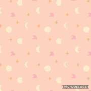 ヒメ日記 2025/01/19 17:02 投稿 ひびき 水戸人妻花壇