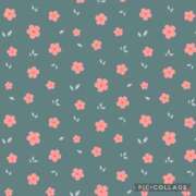 ヒメ日記 2025/01/19 19:01 投稿 ひびき 水戸人妻花壇