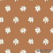 ひびき ⭐️ホテル1003号室のＩ様⭐️ 水戸人妻花壇