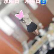 ヒメ日記 2025/03/17 19:57 投稿 ゆら(ゆら) ロケットワイフ