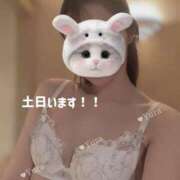 ヒメ日記 2025/06/28 08:01 投稿 ゆら(ゆら) ロケットワイフ