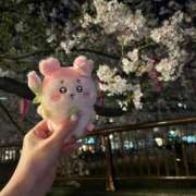 ヒメ日記 2026/04/04 16:28 投稿 ゆら(ゆら) ロケットワイフ