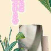 ヒメ日記 2025/09/15 12:53 投稿 あすな サンキュー越谷店