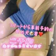 ヒメ日記 2025/05/16 17:54 投稿 ねね 熟女の風俗最終章 新潟店