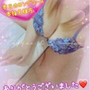 ヒメ日記 2025/06/29 03:19 投稿 ねね 熟女の風俗最終章 新潟店