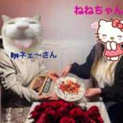 ヒメ日記 2026/01/24 17:33 投稿 ねね 熟女の風俗最終章 新潟店