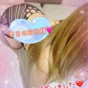 ヒメ日記 2026/04/08 00:13 投稿 ねね 熟女の風俗最終章 新潟店