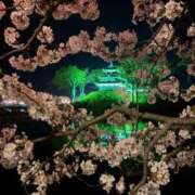 ヒメ日記 2026/04/08 21:03 投稿 ねね 熟女の風俗最終章 新潟店