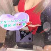 ヒメ日記 2026/07/24 18:05 投稿 ねね 熟女の風俗最終章 新潟店