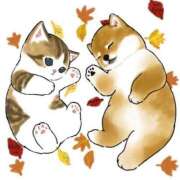 りおん 出勤だよ🎵 ぷよステーション 蒲田店