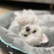 ヒメ日記 2025/07/19 21:47 投稿 りく ビギナーズ神戸