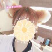 ヒメ日記 2025/06/20 13:29 投稿 花守　ふゆ しゃせきょっ!XX教育される制服女子たち