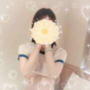 ヒメ日記 2025/08/15 23:29 投稿 花守　ふゆ しゃせきょっ!XX教育される制服女子たち