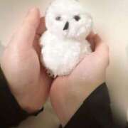 ヒメ日記 2025/05/16 04:05 投稿 カルタお嬢様 M&m Maidとm男の夢物語。