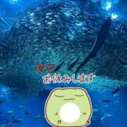 ヒメ日記 2025/05/07 07:18 投稿 篠宮 モアグループ所沢人妻城