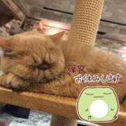 ヒメ日記 2025/07/05 08:48 投稿 篠宮 モアグループ所沢人妻城