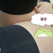 ヒメ日記 2025/12/09 08:57 投稿 篠宮 モアグループ所沢人妻城