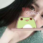 ヒメ日記 2026/01/11 09:51 投稿 篠宮 モアグループ所沢人妻城