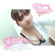 ヒメ日記 2026/06/19 18:00 投稿 三日月　しおん ノーパンパンスト スケベなOL梅田・兎我野店