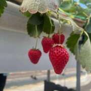 ヒメ日記 2026/02/10 14:13 投稿 ななせ 高級エステ セラピスト