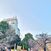 ヒメ日記 2025/03/26 20:50 投稿 ちづる 熟女の風俗最終章 蒲田店