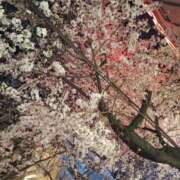 ヒメ日記 2025/04/04 21:58 投稿 ちづる 熟女の風俗最終章 蒲田店