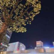 ヒメ日記 2026/01/08 00:20 投稿 ちづる 熟女の風俗最終章 蒲田店