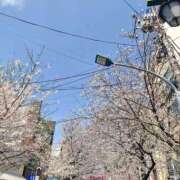 ヒメ日記 2026/03/27 07:50 投稿 ちづる 熟女の風俗最終章 蒲田店