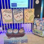 ちづる 🫶今日は会える日🫶 熟女の風俗最終章 蒲田店