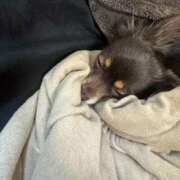 ヒメ日記 2025/03/18 21:10 投稿 りり サマンサ(和歌山)