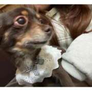 ヒメ日記 2025/03/23 20:53 投稿 りり サマンサ(和歌山)