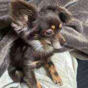 ヒメ日記 2026/03/07 17:49 投稿 りり サマンサ(和歌山)