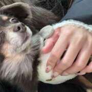 ヒメ日記 2026/03/07 19:40 投稿 りり サマンサ(和歌山)