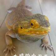 ヒメ日記 2024/12/31 15:54 投稿 ※店長※　大空　夢 AVANT GARDE