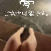 ヒメ日記 2025/01/30 14:00 投稿 ※店長※　大空　夢 AVANT GARDE