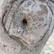 ヒメ日記 2025/03/16 11:09 投稿 ※店長※　大空　夢 AVANT GARDE