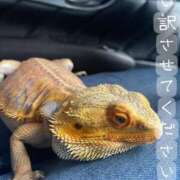 ヒメ日記 2025/05/10 01:03 投稿 ※店長※　大空　夢 AVANT GARDE