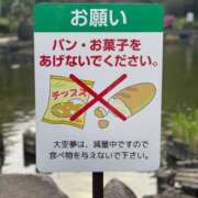 ヒメ日記 2025/05/18 12:12 投稿 ※店長※　大空　夢 AVANT GARDE