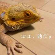 ヒメ日記 2025/06/12 14:23 投稿 ※店長※　大空　夢 AVANT GARDE