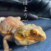 ヒメ日記 2025/06/21 09:53 投稿 ※店長※　大空　夢 AVANT GARDE