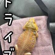 ヒメ日記 2025/07/04 09:18 投稿 ※店長※　大空　夢 AVANT GARDE