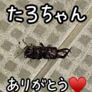 ヒメ日記 2025/07/13 12:17 投稿 ※店長※　大空　夢 AVANT GARDE