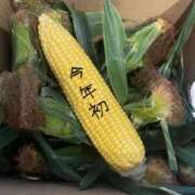 ヒメ日記 2025/07/13 12:48 投稿 ※店長※　大空　夢 AVANT GARDE