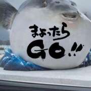 ヒメ日記 2025/08/18 07:55 投稿 ※店長※　大空　夢 AVANT GARDE