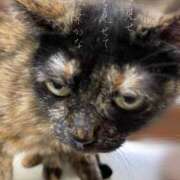 ヒメ日記 2025/09/18 09:53 投稿 ※店長※　大空　夢 AVANT GARDE