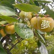 ヒメ日記 2025/10/02 11:47 投稿 ※店長※　大空　夢 AVANT GARDE